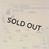 THE TIGERS/THE WORLD IS WAITING FOR US