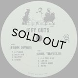 【SALE】STRANGE FRUIT PROJECT/KEY CUTS