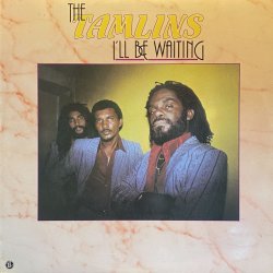 画像1: THE TAMLINS/I'LL BE WAITING