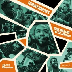 画像1: TERRACE MARTIN'S GRAY AREA/ERRACE MARTIN'S GRAY AREA LIVE AT THE JAMMJAM