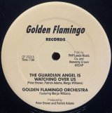 GOLDEN FLAMINGO ORCHESTRA/THE GUARDIAN ANGEL IS WATCHING OVER US