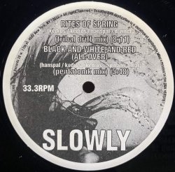 画像1: SLOWLY/THE REMIX PROJECT