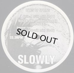 画像1: SLOWLY/THE REMIX PROJECT