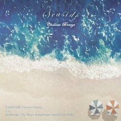 画像1: TAMTAM / Seahawks / Sweet Cherry / No More Raindrops (Steel Pan Dub)