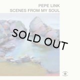 PEPE LINK/SCENES FROM MY SOUL