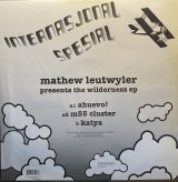 MATHEW LEUTWYLER/PRESENTS THE WILDERNESS EP