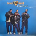 SOUL FOR REAL/IF YOU WANT IT