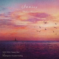 画像1: NOA NOA / Flamingosis / Sunset Red / Cosmic Feeling