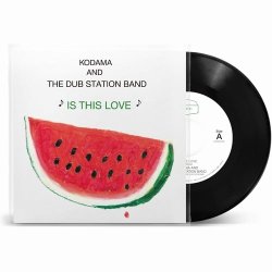 画像1: KODAMA AND THE DUB STATION BAND/IS THIS LOVE