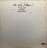 JAMES TAYLOR AND THE FLYING MACHINE/1967