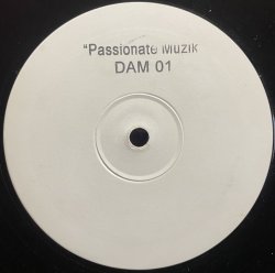 画像1: GAT DECOR VS X-PRESS 2 / PASSIONATE MUZIK