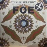 HARUOMI HOSONO (細野晴臣)/ FRIEND OR FOE?