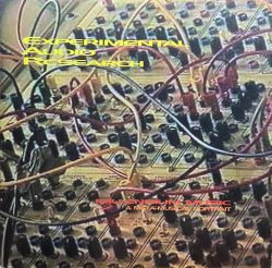 画像1: EXPERIMENTAL AUDIO RESEARCH / MILLENNIUM MUSIC