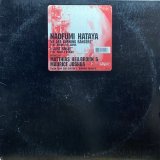 NAOFUMI HATAYA/WE ARE BURNING RANGERS