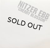 NITZER EBB/CHERRY BLOSSOM