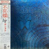 SANTANA/BORBOLETTA (不死蝶)