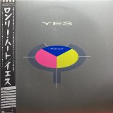 YES/90125