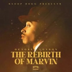 画像1: OCTOBER LONDON/REBIRTH OF MARVIN (BROWN MARBLE VINYL)