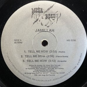 画像1: JAMILLAH/TELL ME NOW (1)