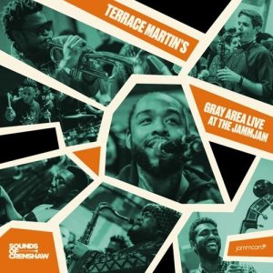 画像1: TERRACE MARTIN'S GRAY AREA/ERRACE MARTIN'S GRAY AREA LIVE AT THE JAMMJAM (1)