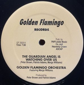 画像1: GOLDEN FLAMINGO ORCHESTRA/THE GUARDIAN ANGEL IS WATCHING OVER US (1)