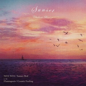 画像1: NOA NOA / Flamingosis / Sunset Red / Cosmic Feeling (1)