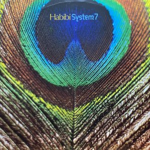 画像1: SYSTEM 7/HABIBI (1)