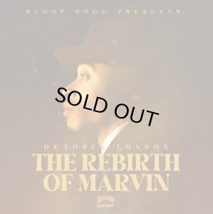 画像1: OCTOBER LONDON/REBIRTH OF MARVIN (BROWN MARBLE VINYL) (1)